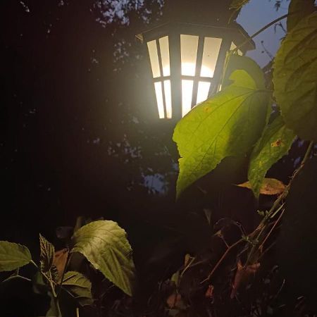 Hotel Aam'S Courtyard Kalimpong Exterior foto
