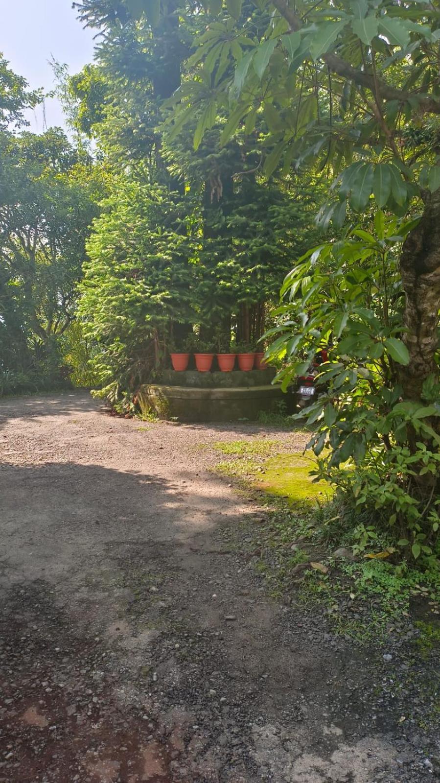 Hotel Aam'S Courtyard Kalimpong Exterior foto