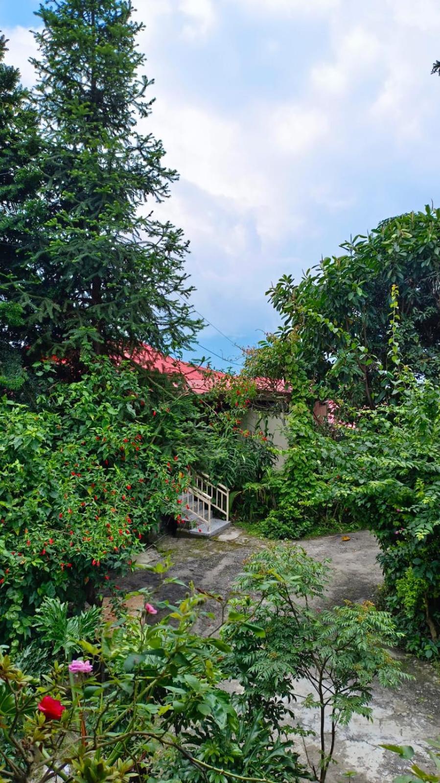 Hotel Aam'S Courtyard Kalimpong Exterior foto